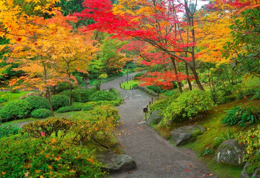 Photo shared by Image Creator
