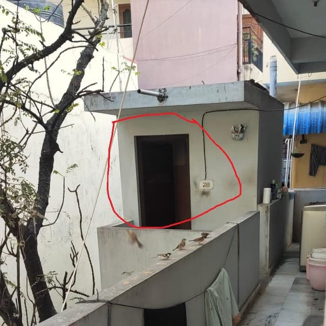 Raghava Tester